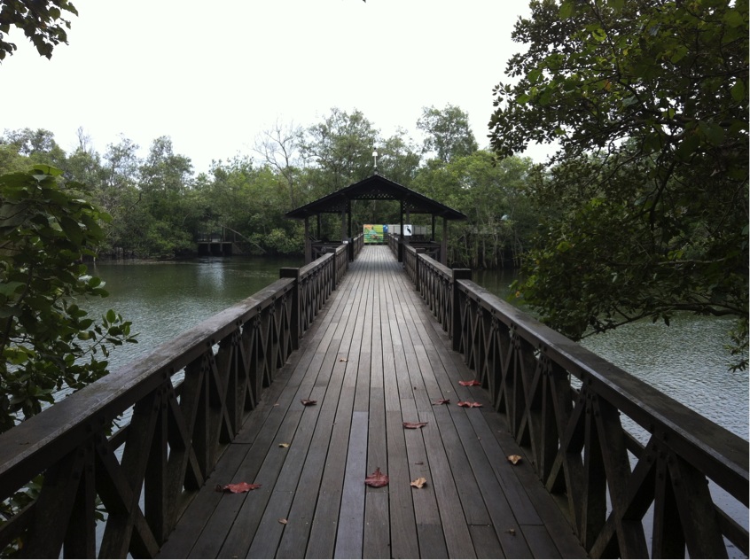 Six Picturesque Natural Sceneries in Singapore_4
